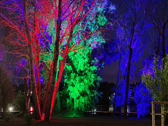 Деревья в парке с декоративной RGB‑подсветкой: контраст теплых и холодных оттенков - DaniilAlexiy