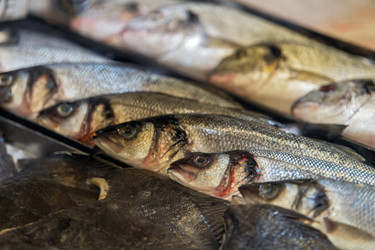 свежая цельная рыба, выставленная на рыночной витрине. выбор морепродуктов, представляющих рыбалку, снабжение продуктами питания, кулинарное приготовление - Maria Moroz