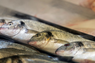 свежая цельная рыба, выставленная на рыночной витрине. выбор морепродуктов, представляющих рыбалку, снабжение продуктами питания, кулинарное приготовление - Maria Moroz