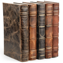 ряд из пяти старинных книг в кожаных переплетах, стоящих вертикально - yliv
