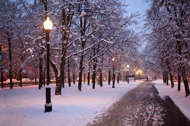 Alley in winter park with snowy trees and lanterns - paha_l