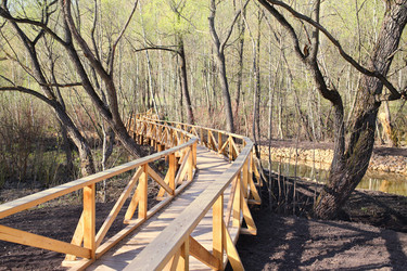 Winding pedestrian wooden bridge in the park in - paha_l