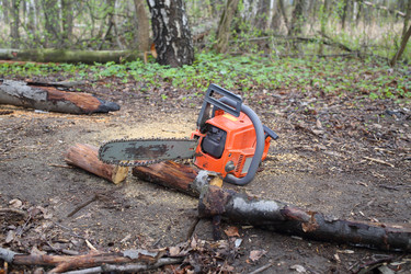 Chainsaw lying on the ground near the dry sawn - paha_l