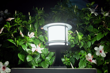 Small Garden Lamp surrounded white flowers and - paha_l