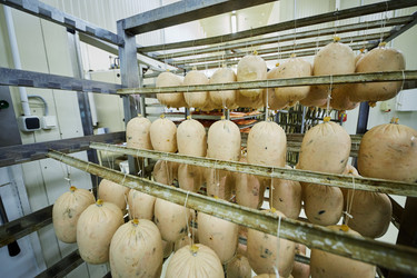 сосиски висят на направляющих на стеллаже на фабрике - paha_l