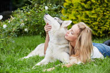 Young blond woman with dog Husky on grass in - paha_l