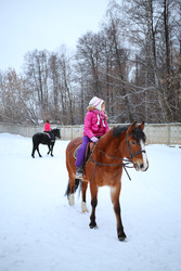 Little girl in winter clothes sitting on horseback - paha_l