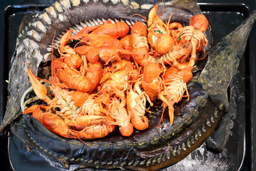 Baked sturgeons and crayfish on a black pan, close - paha_l