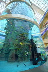 MOSCOW - DEC 05, 2014: The base of the aquarium with a diver inside in - paha_l