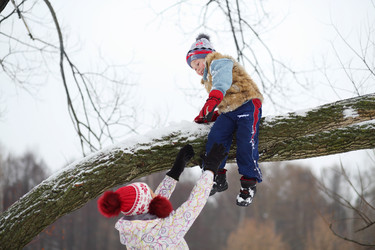 Little boy climbs down tree branch and mother - paha_l