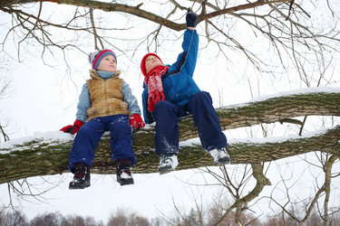 Two little boys sit on thick branch and look up in - paha_l