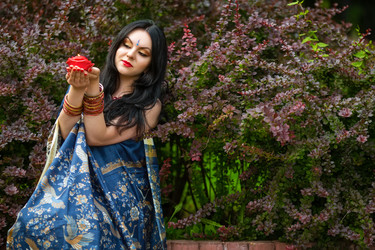 Brunette in sari among barberry bushes holding red - paha_l