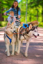 Girl and little boy riding on scooter in team of - paha_l