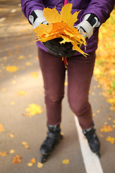 A bunch of yellow maple leaves in female hands - paha_l