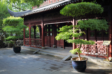 красивый китайский сад с корявыми деревьями и - paha_l