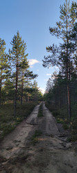 лесная дорога - Andrew_Swarga