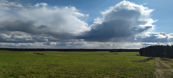 широкое зеленое поле - Andrew_Swarga