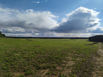 широкое зеленое поле - Andrew_Swarga