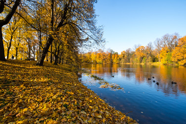 вид на городской парк осенью - gumbao