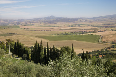 поля в тоскане - alkir