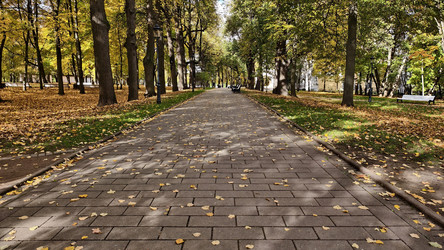 Осень - PhotoStudent