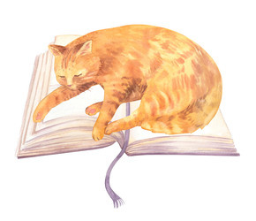 рыжий полосатый кот спит, растянувшись на открытой книге в твердом переплете с ленточной закладкой акварельный стиль, мягкие теплые тона, уютное тихое настроение в помещении. - Lizyaeva_art