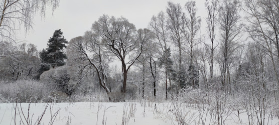 снег на земле - Andrew_Swarga