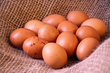 натюрморт из коричневых куриных яиц в коричневом мешковинном мешке, органические фермерские продукты - lidalnk
