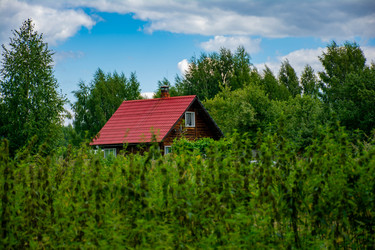сельский пейзаж с деревянным домом с красной черепичной крышей, окруженным зелеными деревьями и листвой, деревенская сельская сцена - lidalnk