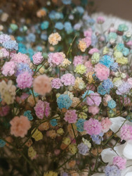 Разноцветный гипсофил (Gypsophila) — пастельная цветочная текстура, макросъемка, праздничный фон, дыхание младенца - Mihail_direct