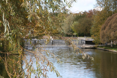 Небольшой водопад и ветви ивы. Осенний пейзаж. Small waterfall with willow branches in an autumn landscape - Karagero