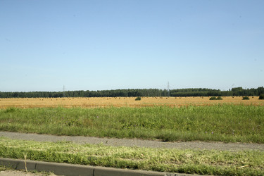 Сельский пейзаж с полем и лесом под ясным небом. Rural landscape with field and forest under clear sky - Karagero