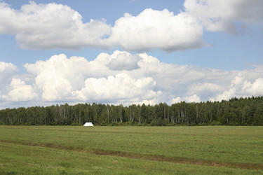 Зеленое поле с линией леса и облачным небом. Green field with forest line and cloudy sky - Karagero