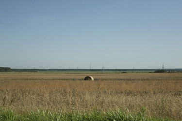 Золотистое поле с круглым тюком сена под ясным небом. Golden field with round hay bale under clear sky - Karagero