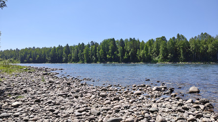 Каменистый берег, река Катунь, Алтай - astilba