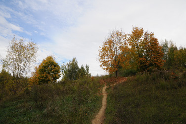 Тропинка в парке - Anastasia_y