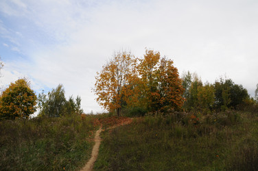 Тропинка в парке - Anastasia_y