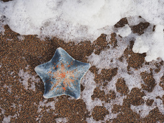 Морская звезда на берегу моря. Сахалин. A starfish on the seashore. Sakhalin. (Marka) - marka