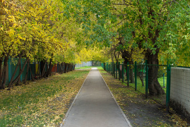 Осенний пейзаж, Красноярск. Autumn landscape, Krasnoyarsk - MariaMit