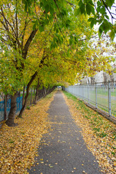 Осенняя тропа, Красноярск. Autumn trail, Krasnoyarsk - MariaMit