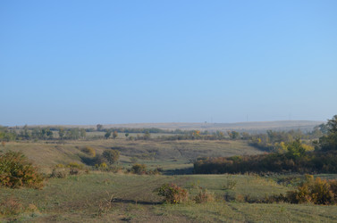 Утреннее поле - Sun_Sunych