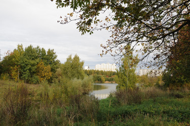 Пруд в парке - Anastasia_y