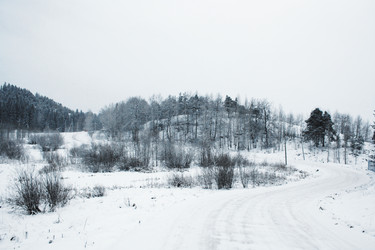 Лес после ночной метели - Ev.Safonov