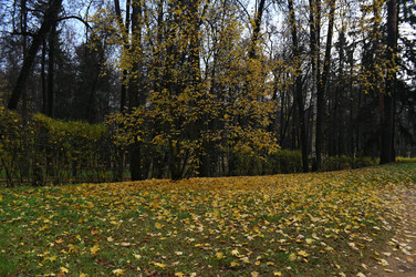 Осень - PhotoStudent