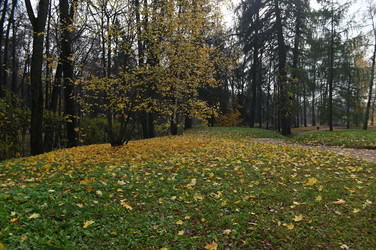 Осень - PhotoStudent
