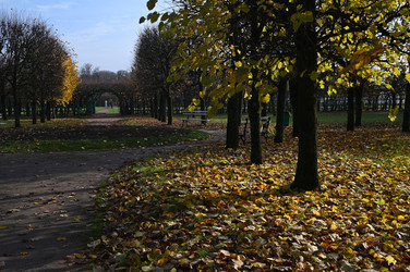 Осень - PhotoStudent
