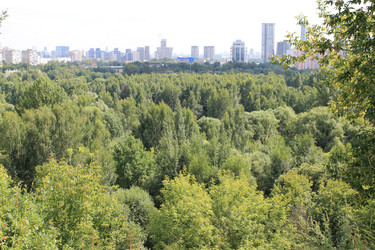 Вид на Москву через Сходненскую чашу - Anastasia_y