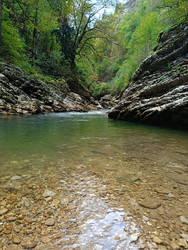 Прозрачная вода горной реки в каньоне - OlgaStrela