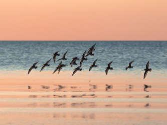 ТОП 100 ноябрь